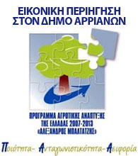 logo paa